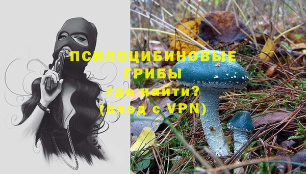 винт Новокубанск
