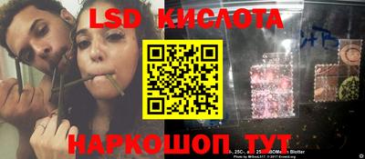 стаф Дубна
