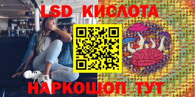 трава Донецк