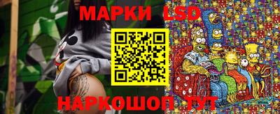 стаф Дубна