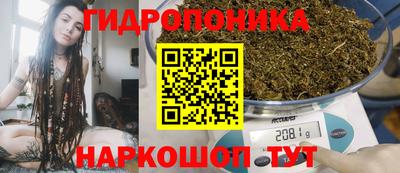 стаф Дубна