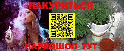 стаф Дубна