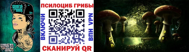 Галлюциногенные грибы Psilocybe  купить наркоту  Куйбышев 