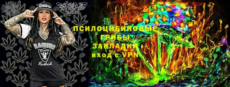 Псилоцибиновые грибы MAGIC MUSHROOMS  где купить наркотик  Куйбышев 