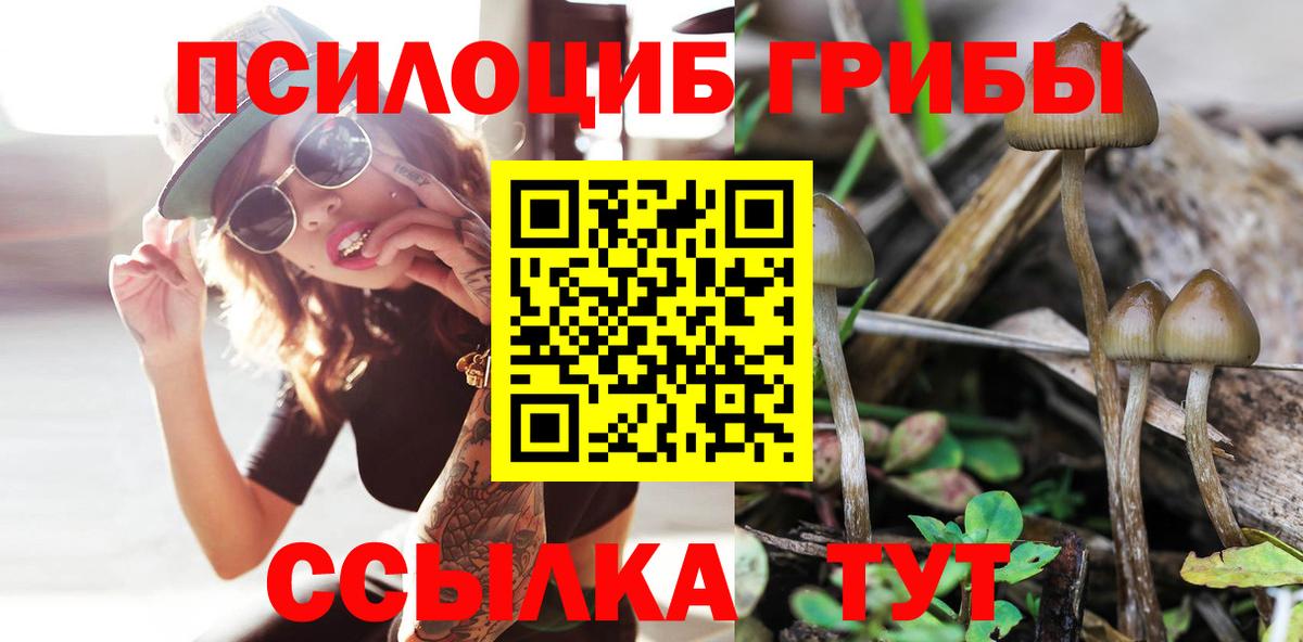 Псилоцибиновые грибы Psilocybe  Галлюциногенные грибы ЛСД  Куйбышев  Вход с VPN 