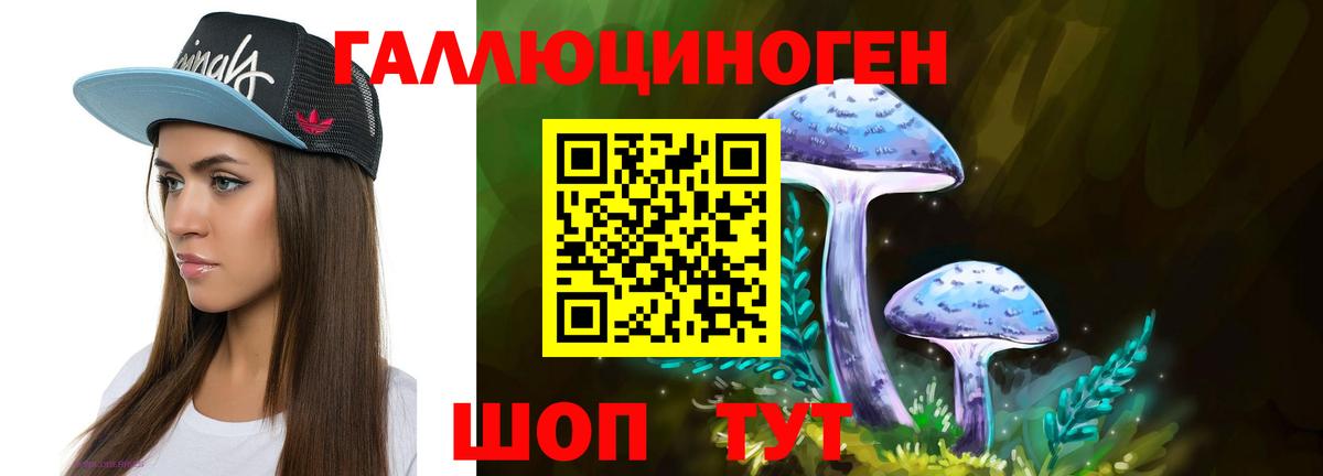 Галлюциногенные грибы Psilocybine cubensis  Куйбышев  Галлюциногенные грибы прущие грибы 